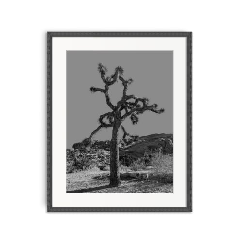 TWISTED | Monochrome Desert | Minimalist Print | Wall Art | Photography by Jess Ansik