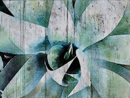 California Succulent Plant | Paintings by Irena Orlov