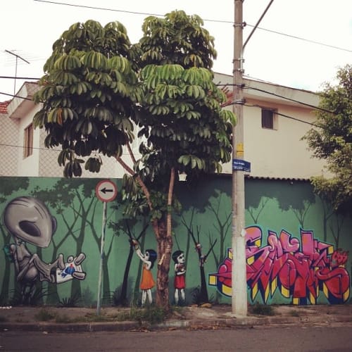 Street Mural | Street Murals by Tinho