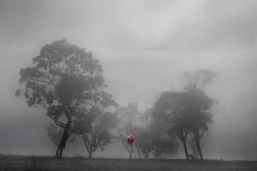 We Are Because of Them – Fine Art Photography | Photography by ANDRES GALAN
