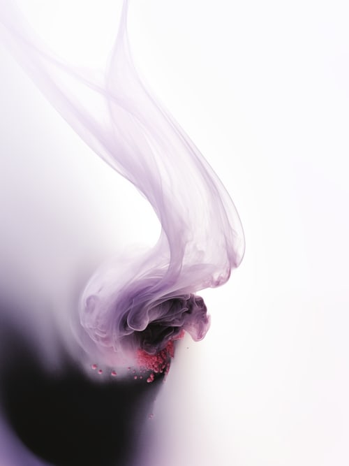 Integrity | Prints in Paintings by Bodnari Studio