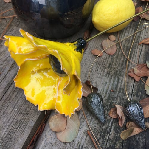Yellow poppy | Floral Arrangements by Park Ceramics and Gifts by Amanda Westbury