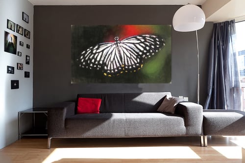 Black & White Butterfly | Photography by Suzann Kaltbaum