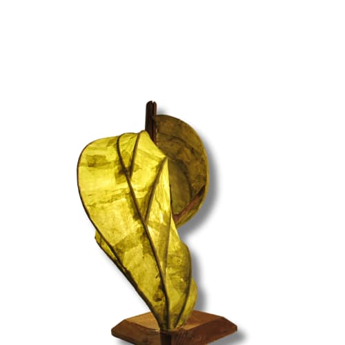 Forest Flow | Lighting by Niksa Design