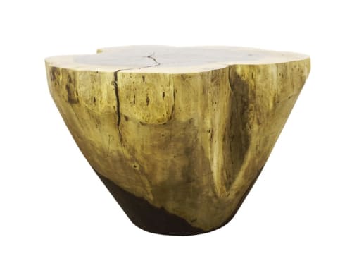 Carved Live Edge Solid Wood Trunk Table ƒ3 by Costantini | Side Table in Tables by Costantini Design