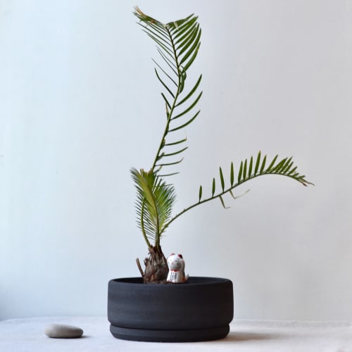 Lucky Cat Trio: Japanese Porcelain Maneki Nekko Figurines | Ornament in Decorative Objects by Maia Ming Designs