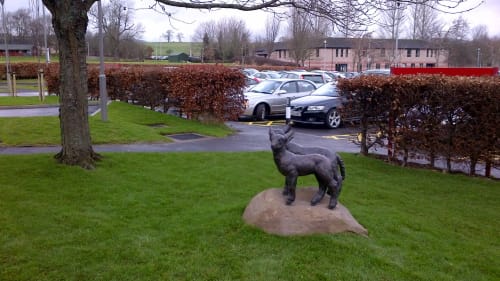 Spring Lambs | Public Sculptures by Angela Hunter Sculpture | Borders General Hospital in Melrose