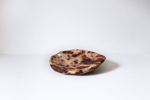 Leaning Dish | Maple Burl | Sculptures by Indwell