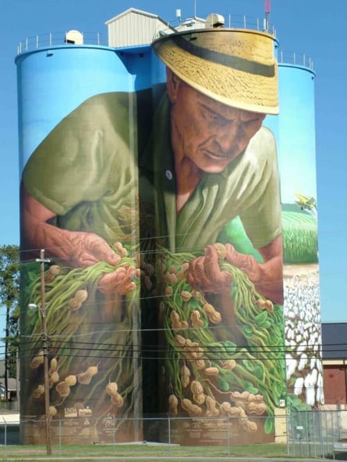 Peanut Farmer mural | Street Murals by C5 Charlie