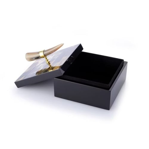 Luxury Horn Handle Decorative Box – Black Gloss Finish | Decorative Objects by Finara
