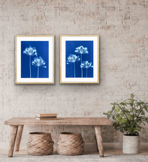 Five Agapanthus Flowers Diptych: PAIR of 24 x 18" monotypes | Photography by Christine So