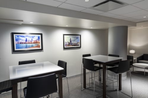 United Center Artwork in Private Suites | Paintings by The Pigshark | United Center in Chicago