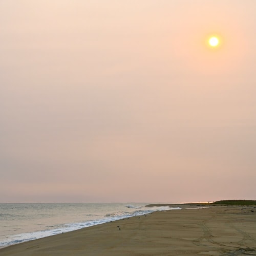 Summer Set | Photography by Neon Dunes by Lily Keller