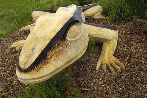 Sand Lizard | Public Sculptures by Mike Chapman | Avon Heath Country Park in St. Leonard's