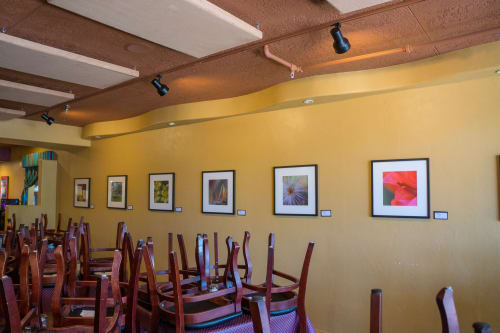 Intimate Details of the Desert Series | Photography by Vicky Stromee | Poco & Moms Cantina in Tucson