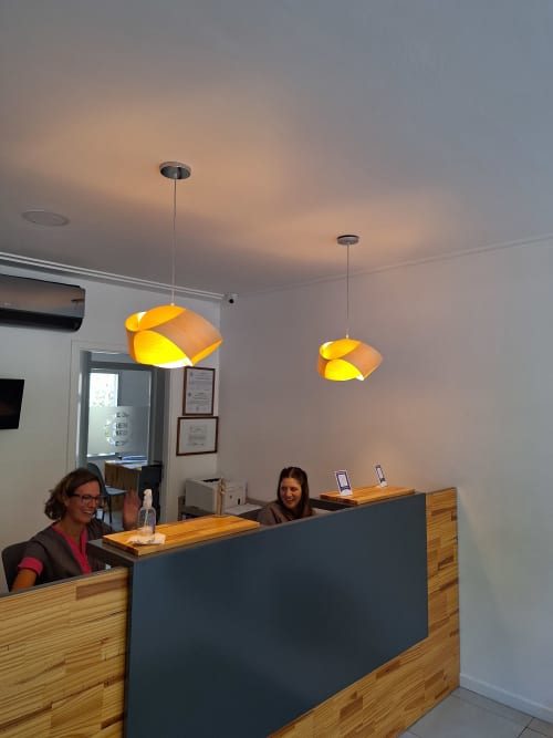 UFO Pendant crafted with Natural Wood Veneer | Pendants by Traum - Wood Lighting | GEN&MED in Mar del Plata