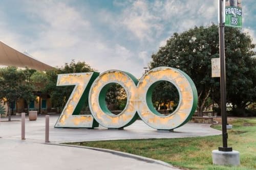 Peaceable Kingdom | Public Sculptures by Joseph O'Connell | Reid Park Zoo in Tucson