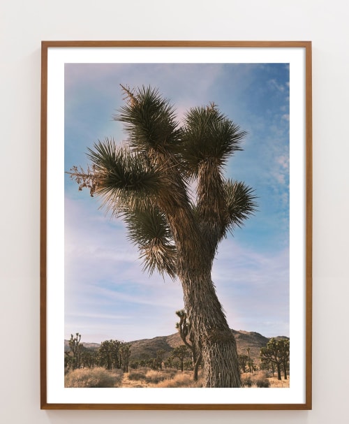 Joshua Tree Photograph in vintage color tones | Photography by Capricorn Press