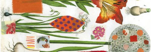 Orange Botanical Runner | Tableware by Pam (Pamela) Smilow