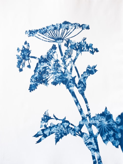 Summer Woods: Framed original cyanotype painting 36 x 29 x 3 | Paintings by Christine So