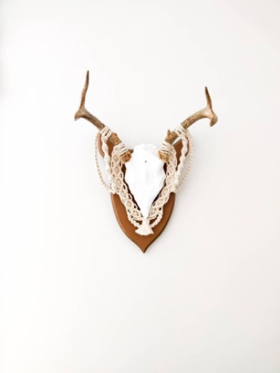 Macrame deer antlers, cabinet of curiosities, 1950s