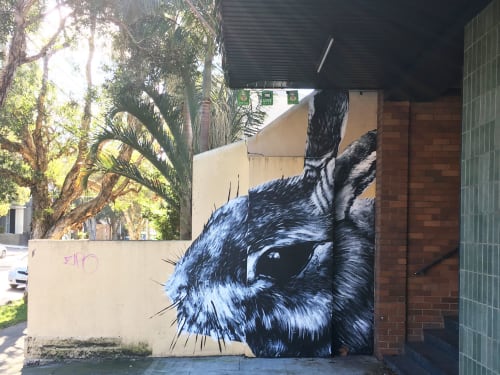George the Rabbit | Murals by @MCRT.Studio