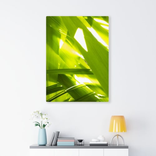 Sunkissed_3608  --  the life-giving energy of nature | Art & Wall Decor by Petra Trimmel