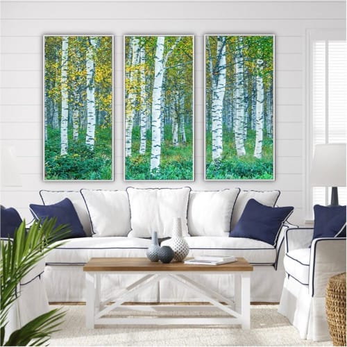 Birch Tree Prints | Wall Hangings by Debby Neal Arts