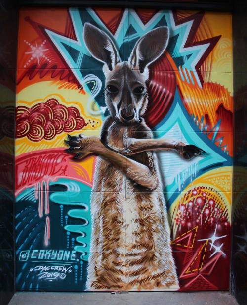 Funky Kangaroo | Murals by CokyOne