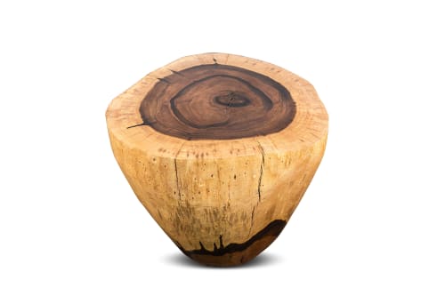 Carved Live Edge Solid Wood Trunk Table ƒ31 by Costantini | Side Table in Tables by Costantini Design