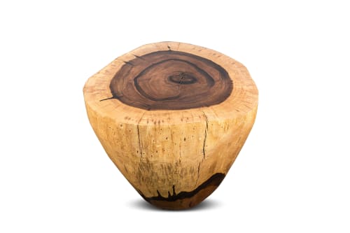 Carved Live Edge Solid Wood Trunk Table ƒ31 by Costantini | Tables by Costantini Design