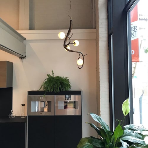 Custom Budding newGROWTH Chandeliers | Chandeliers by CP Lighting | Poggenpohl Philadelphia Kitchen Design Studio in Philadelphia