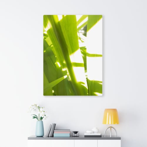 Sunkissed_3600  --  the life-giving energy of nature | Art & Wall Decor by Petra Trimmel