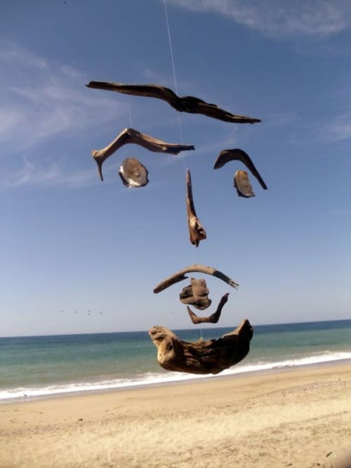 Face (Air Sculpture) | Wall Sculpture in Wall Hangings by Jane Maroni Organic Design