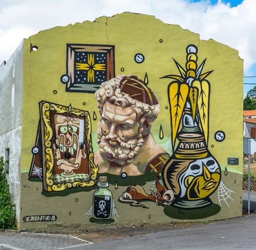 Still life | Street Murals by Third Rua