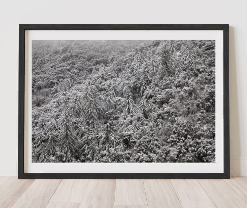 Mt Wilson Winter 01 Photographic Print | Photography by Chris Fortuna | Photography Prints