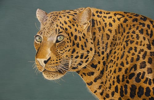 Dispaced - Leopard | Paintings by Hannah Jensen | Private Residence in Auckland