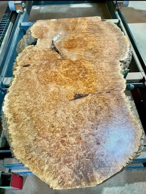 Spectacular American maple wood | Tables by VANDENHEEDE FURNITURE-ART-DESIGN