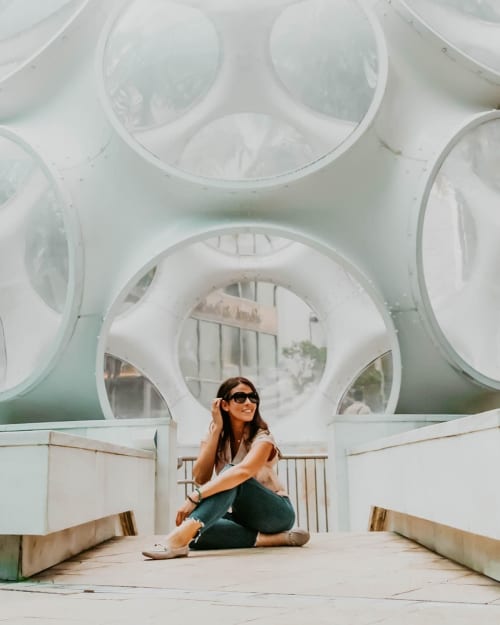 Fly's Eye Dome | Public Sculptures by Richard Buckminster Fuller | Miami Design District in Miami