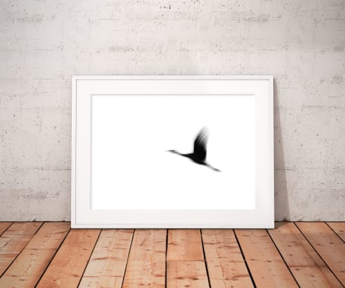 Crane(s) I | Limited Edition Print | Photography by Tal Paz-Fridman | Limited Edition Photography