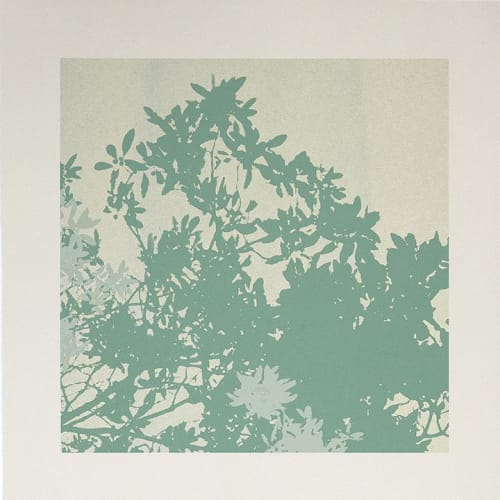 OutGrow #2 | Prints by Phillip Hua