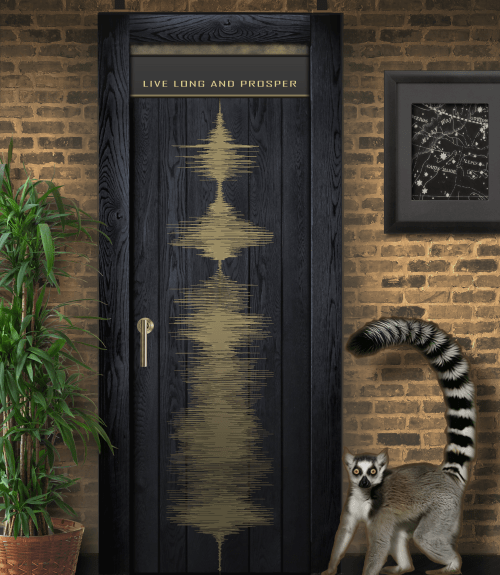 Live Long and Prosper Door | Furniture by Blue Bliss