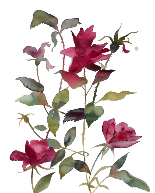 Rose Study No. 84 : Original Watercolor Painting | Paintings by Elizabeth Becker