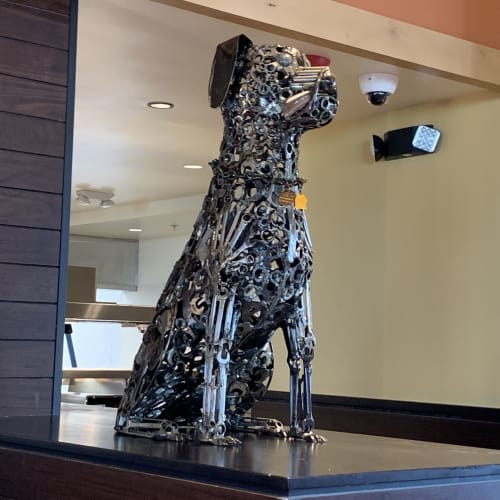 Lazy Dog Restaurant & Bar, Restaurants, Interior Design