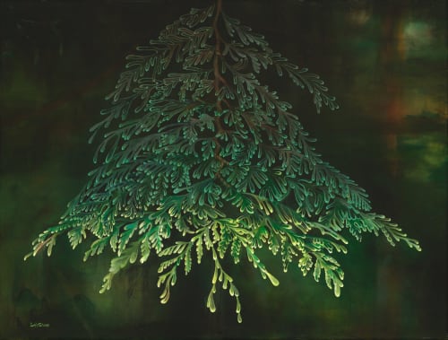 Western Red Cedar Branch Print | Prints by Sarah Stivers | The Joinery in Portland