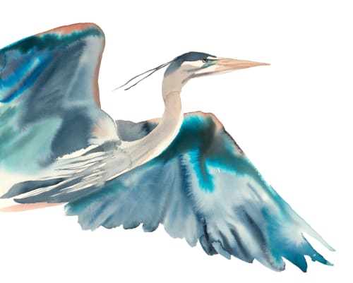 Heron No. 28 : Original Watercolor Painting | Paintings by Elizabeth Becker