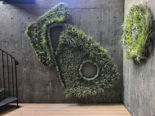 Sunset Idea House Los Gatos 2018  Modernist Tillandsia wall | Plants & Landscape by Living Green Design