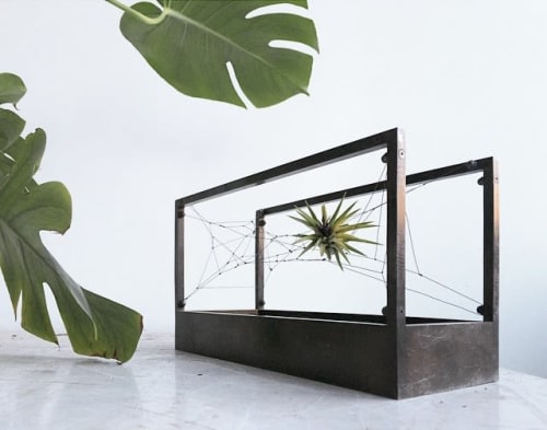 Mini AirTerrarium | Plants & Flowers by Plant-In City | Plant-in City Studio NYC in Brooklyn
