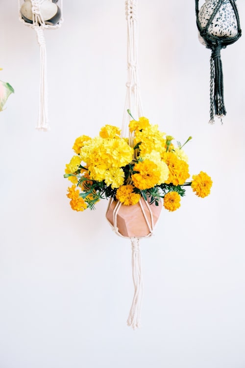 Single Plant Hanger | Plants & Landscape by Modern Macramé by Emily Katz | Private Residence - Portland OR in Portland