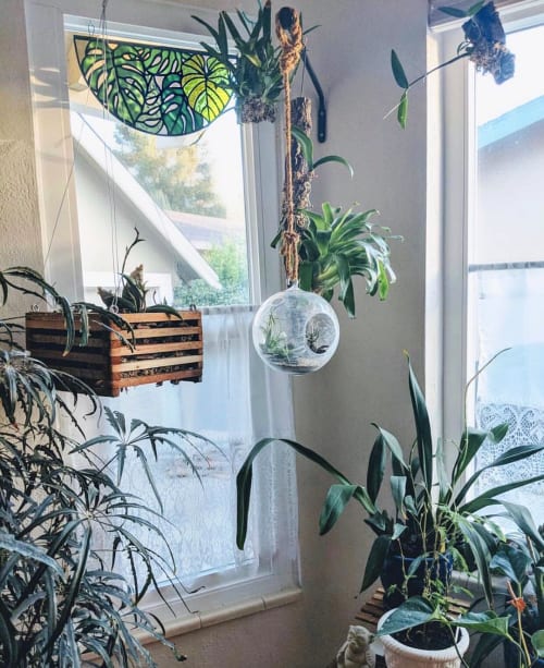 Monstera Window Topper | Wall Hangings by Gold Fever Glass / Courtney Baker